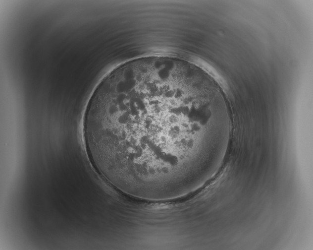 X0000102411283200808081317