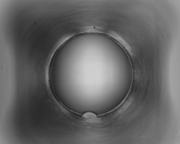 X0000102411285200808081317