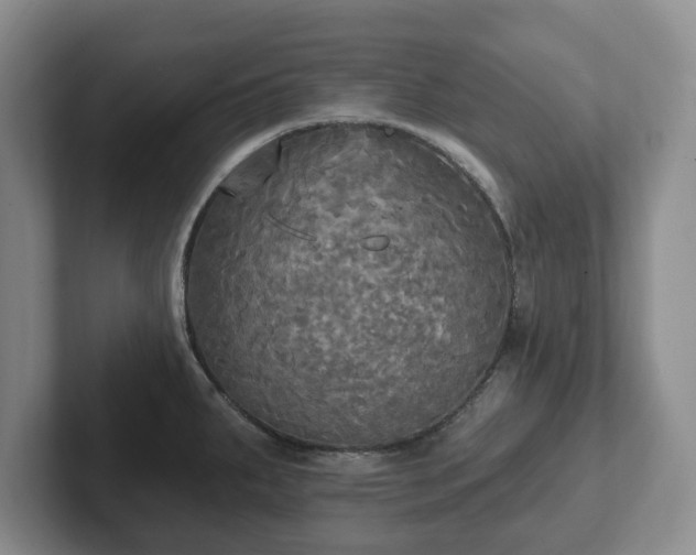 X0000102411287200808081317