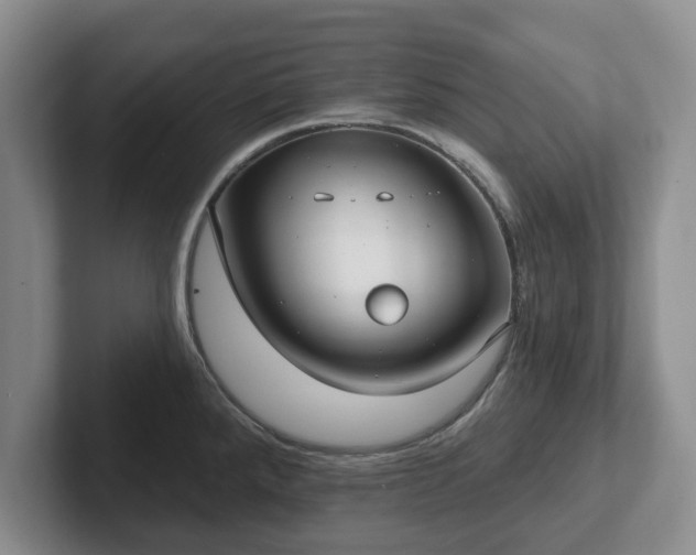 X0000102411288200808081317