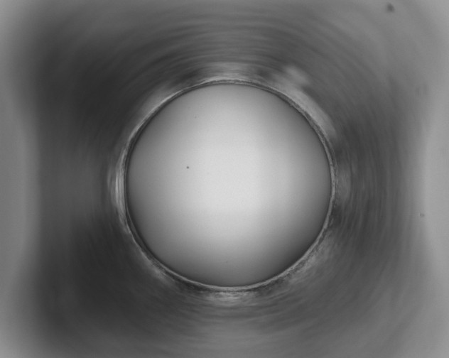 X0000102411290200808081317