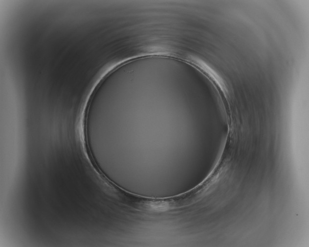 X0000102411291200808081317