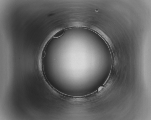 X0000102411293200808081317