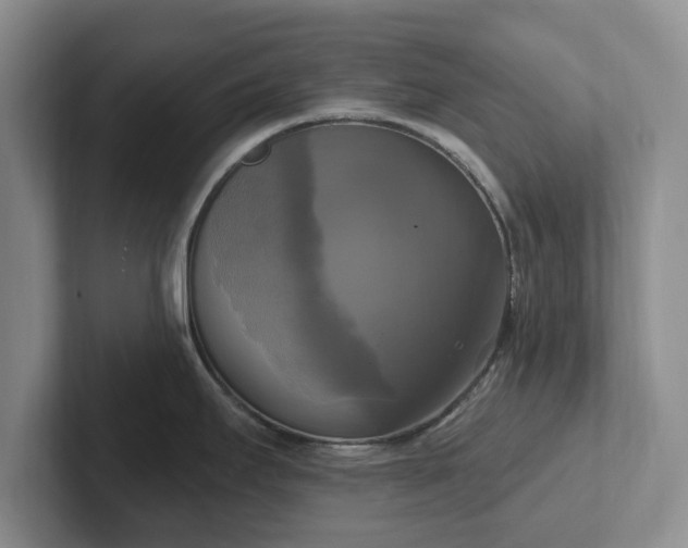 X0000102411295200808081317