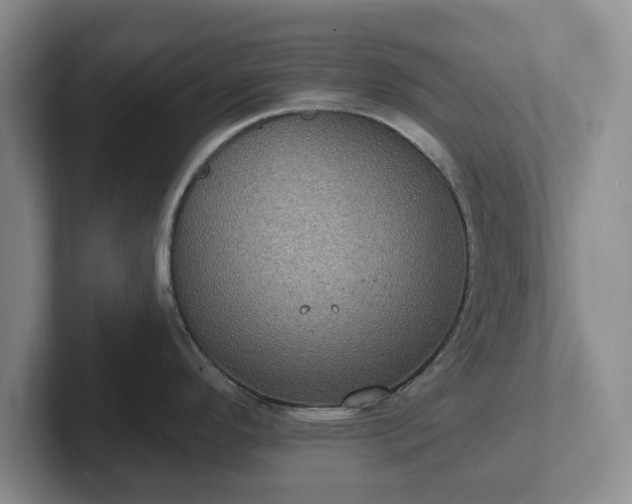 X0000102411296200808081317