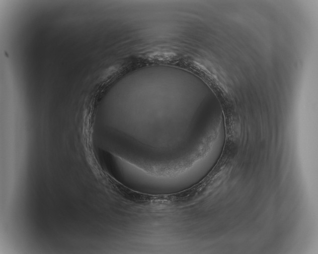 X0000102411297200808081316