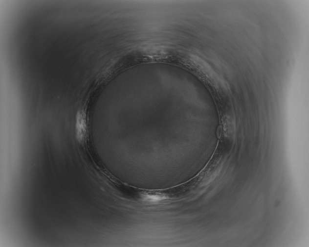 X0000102411298200808081316