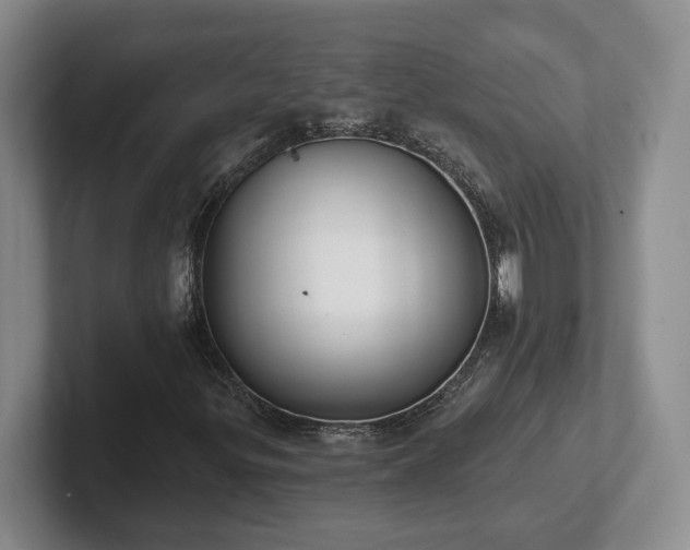 X0000102411299200808081316