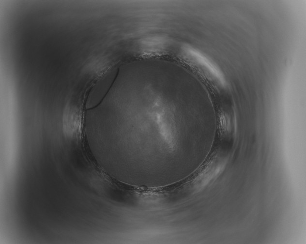 X0000102411300200808081316