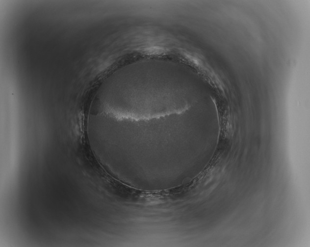 X0000102411301200808081316