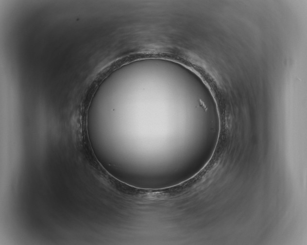 X0000102411304200808081316