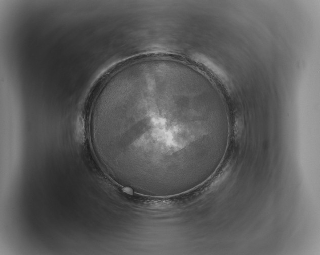 X0000102411310200808081316