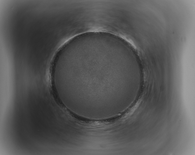 X0000102411311200808081316