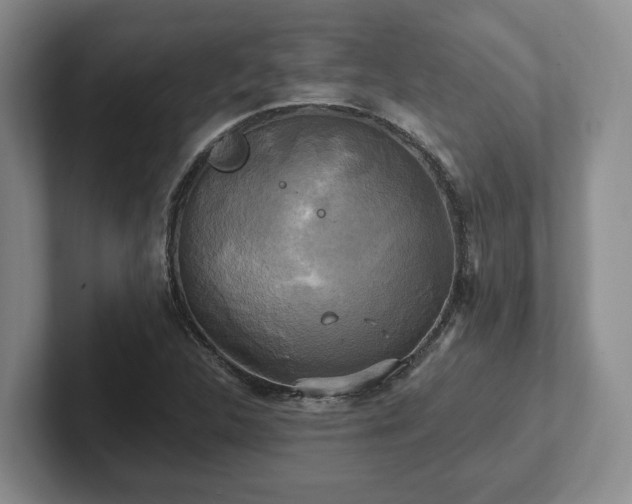 X0000102411312200808081316