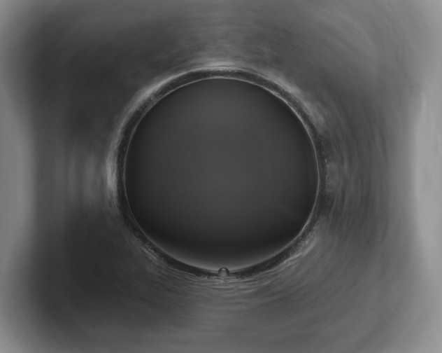 X0000102411319200808081316