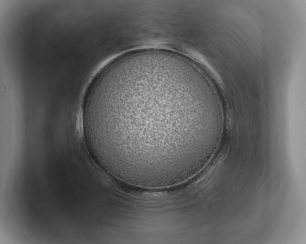 X0000102411320200808081316