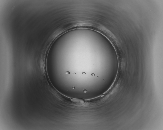 X0000102411321200808081316