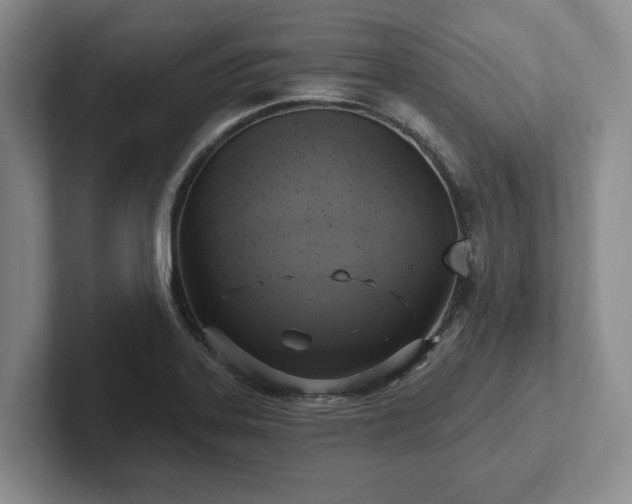 X0000102411323200808081316