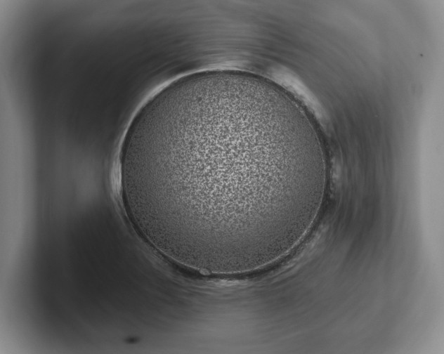 X0000102411324200808081316