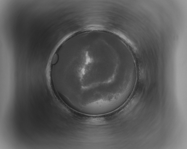 X0000102411325200808081317