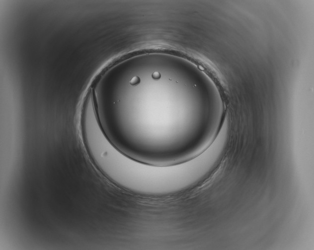 X0000102411326200808081317