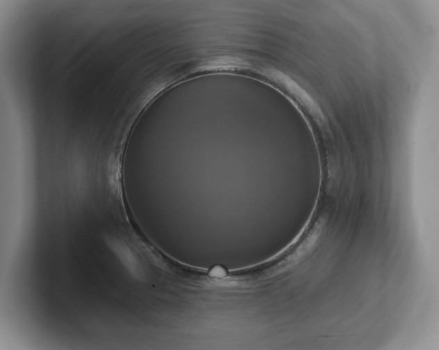 X0000102411329200808081317