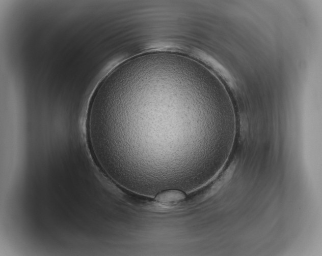 X0000102411330200808081317