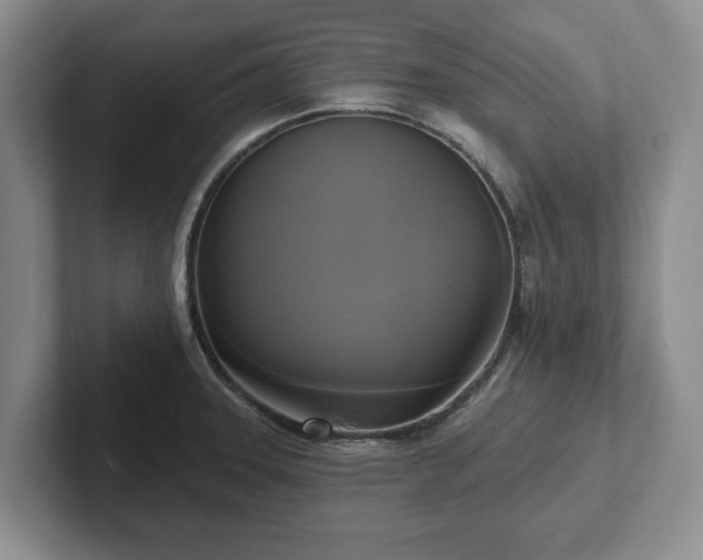 X0000102411331200808081317