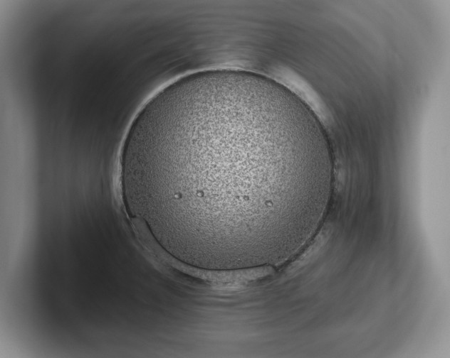 X0000102411332200808081317