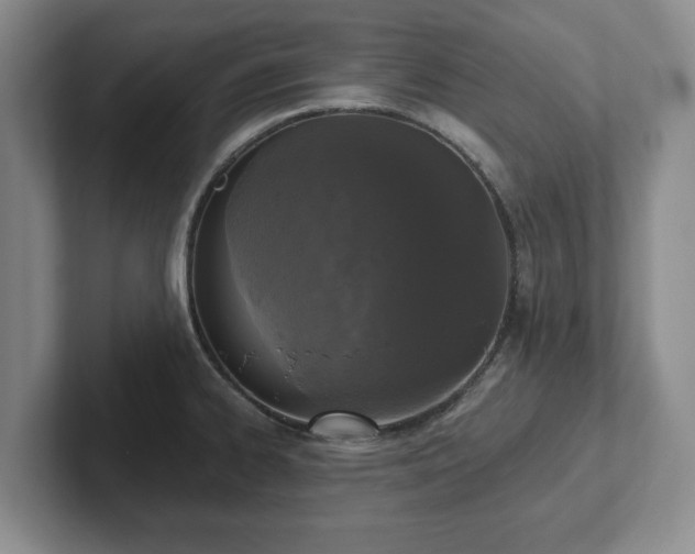 X0000102411334200808081317