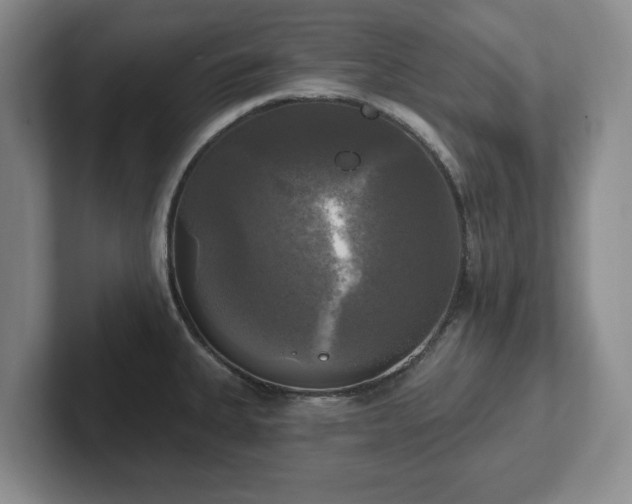 X0000102411335200808081317