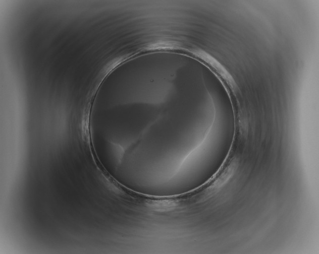 X0000102411337200808081317