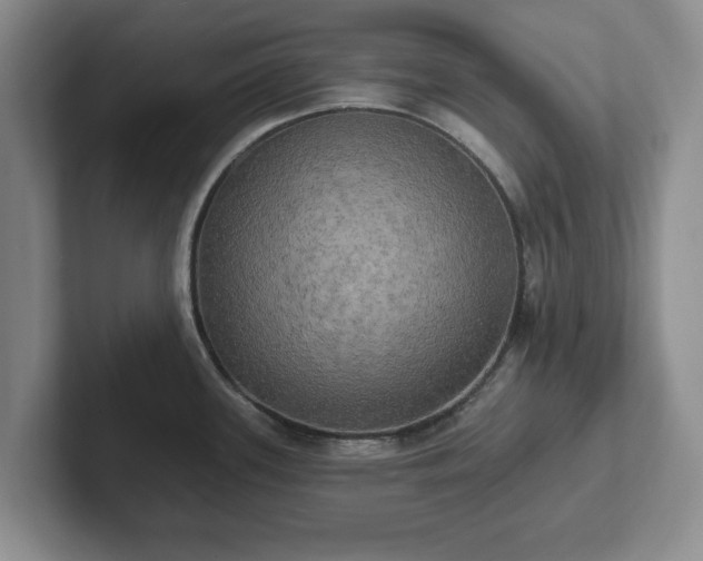 X0000102411339200808081317