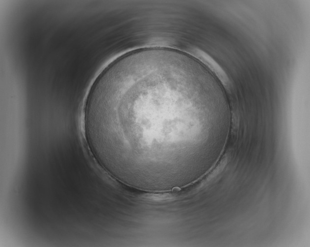 X0000102411340200808081317