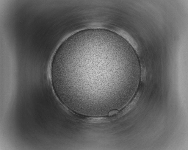 X0000102411342200808081317