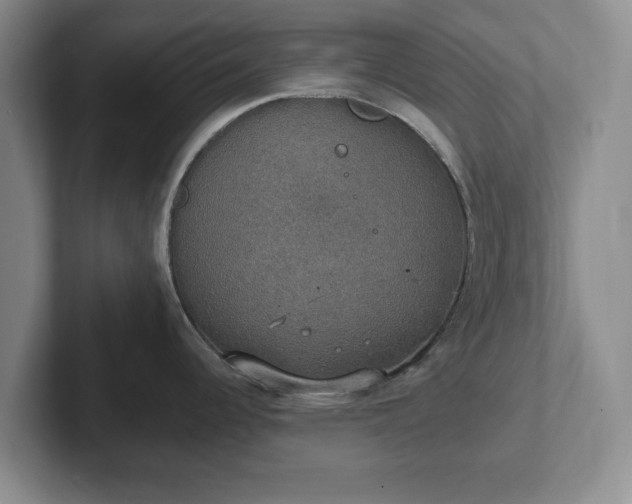 X0000102411344200808081317