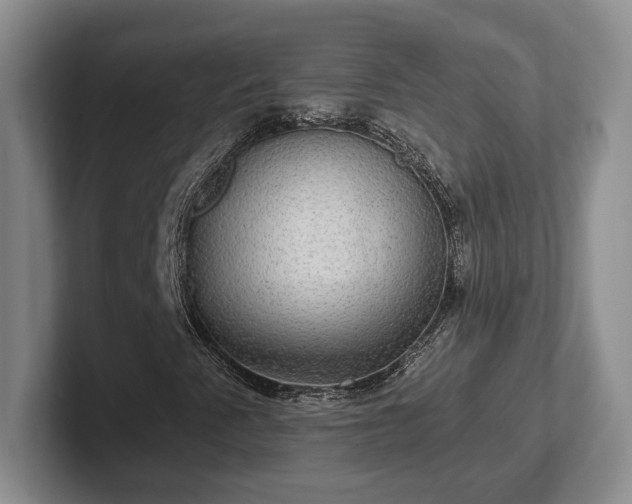 X0000102411345200808081316