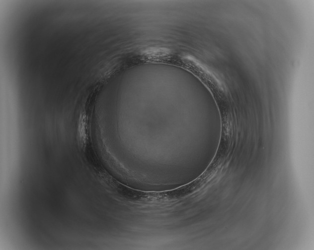 X0000102411346200808081316