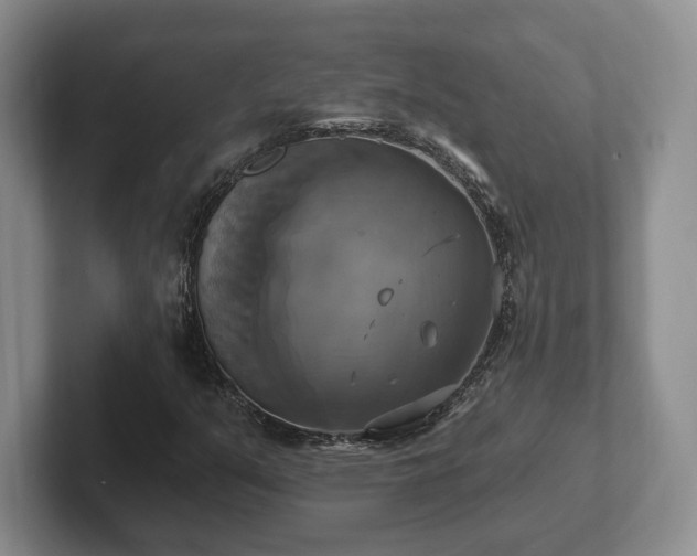 X0000102411351200808081316