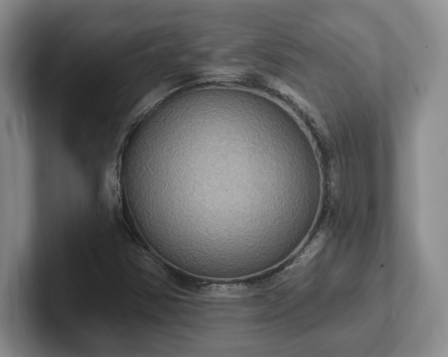 X0000102411354200808081316