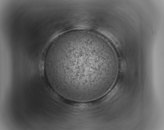 X0000102411355200808081316