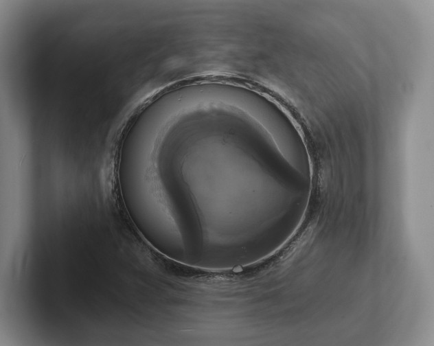 X0000102411359200808081316