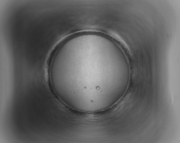 X0000102411360200808081316