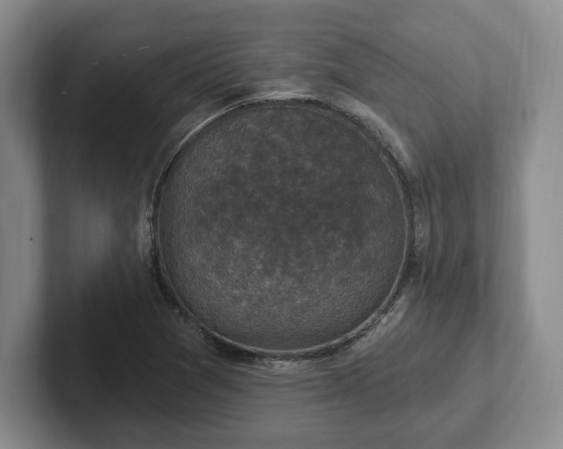 X0000102411361200808081316