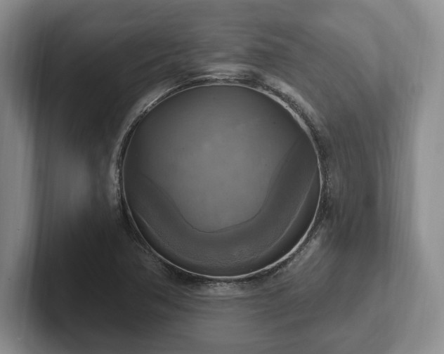 X0000102411362200808081316