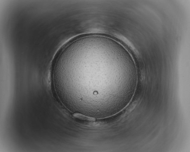 X0000102411364200808081316