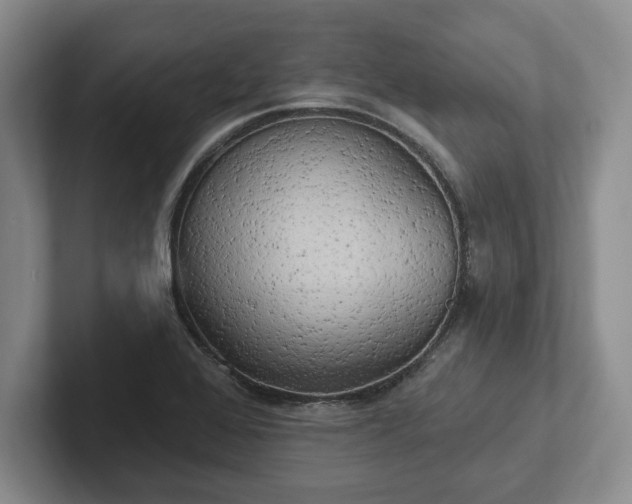 X0000102411368200808081316