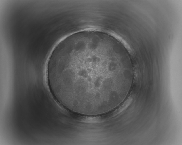 X0000102411375200808081316