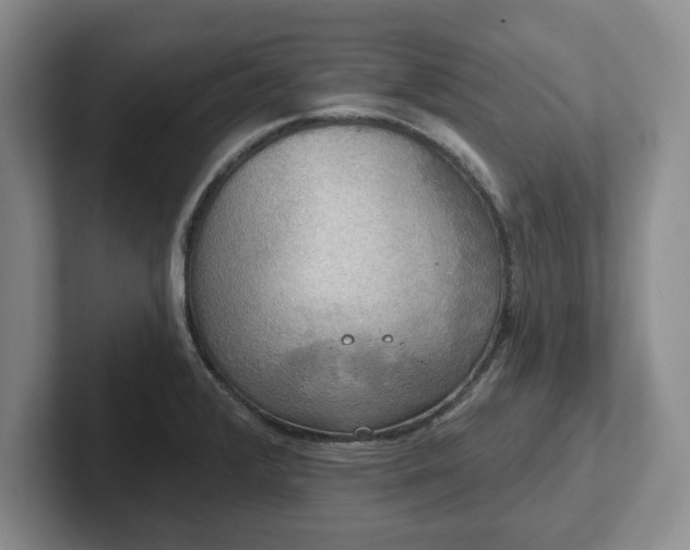 X0000102411376200808081316