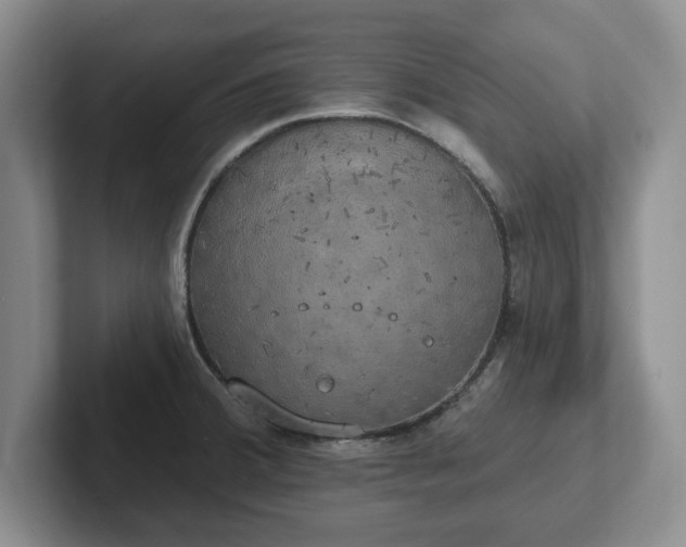 X0000102411380200808081316